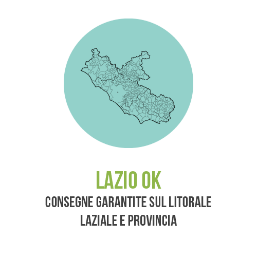 Consegna Ghiaccio Pronto su Roma e Provincia!